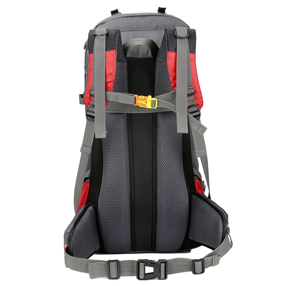 Mochila Carguero Kane 60L