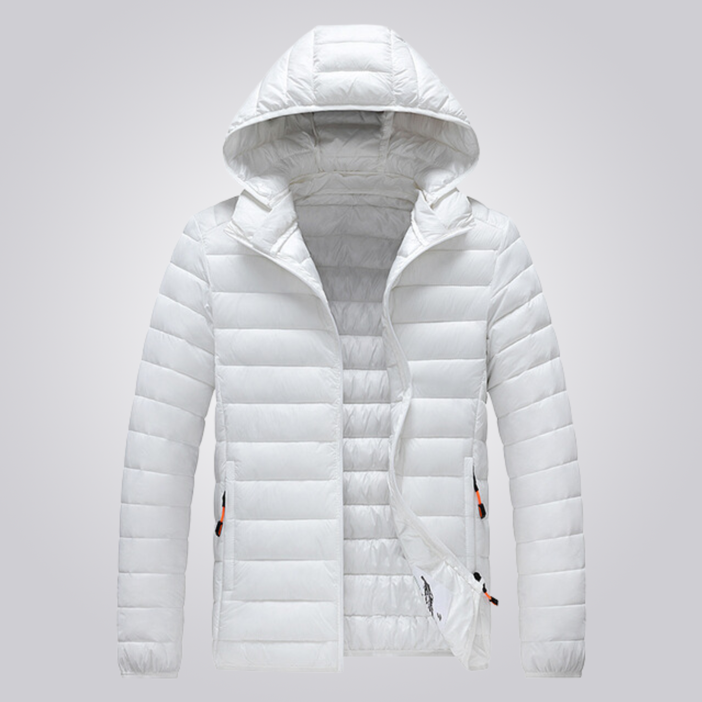 Doudoune Homme Iced